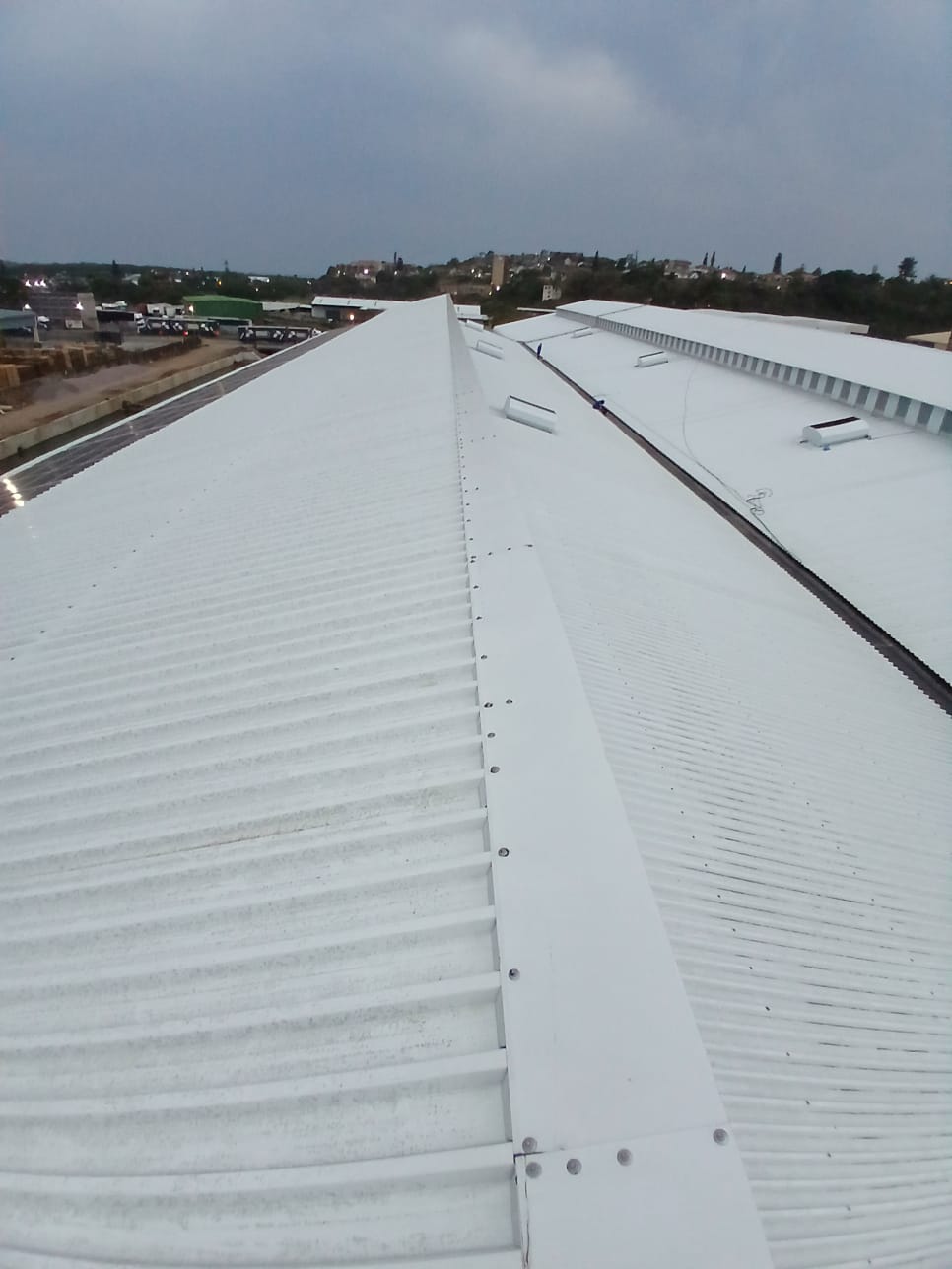 Gutter Cleaning